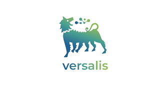 VERSALIS AMERICAS INC.