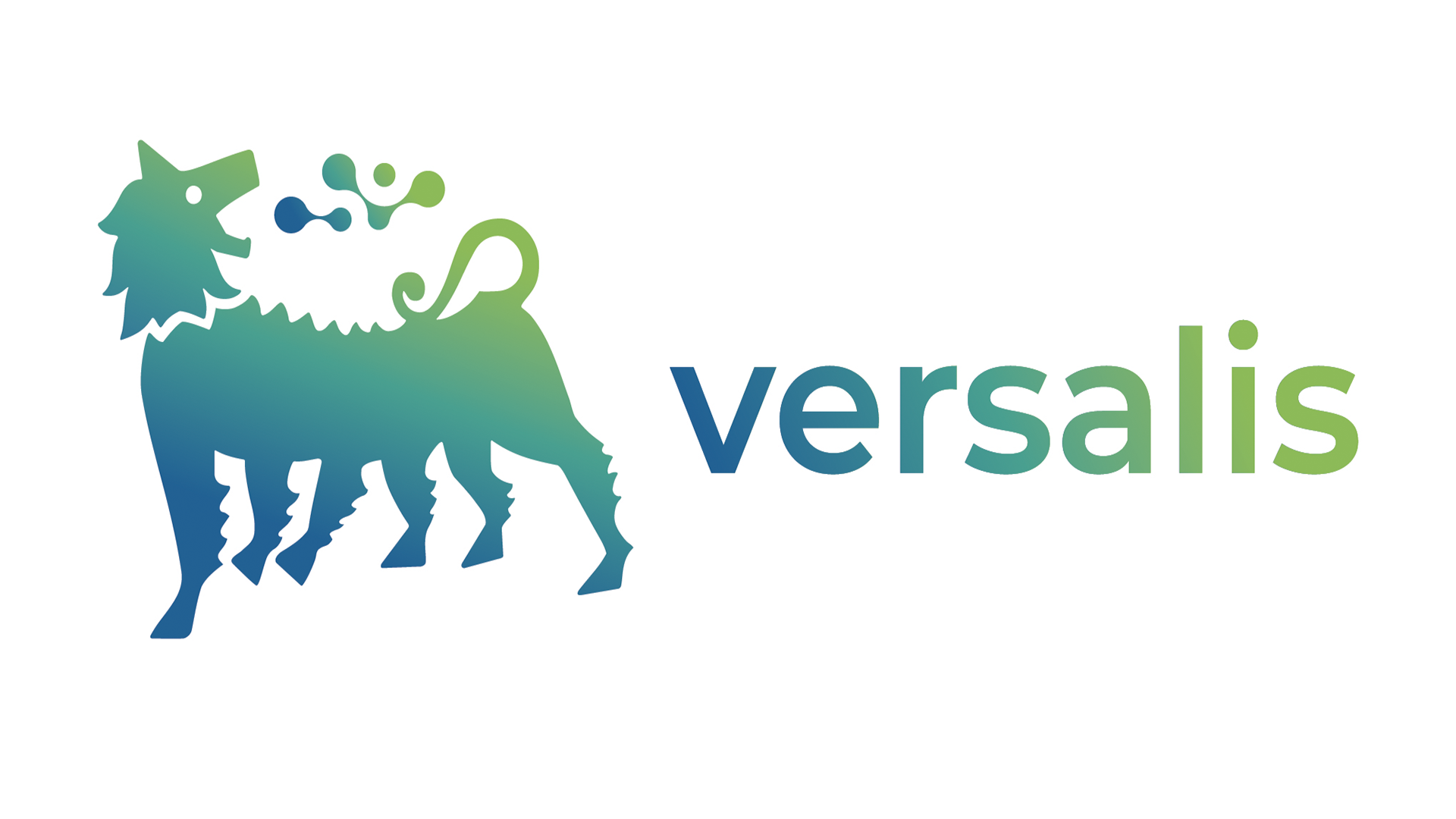 VERSALIS AMERICAS INC.