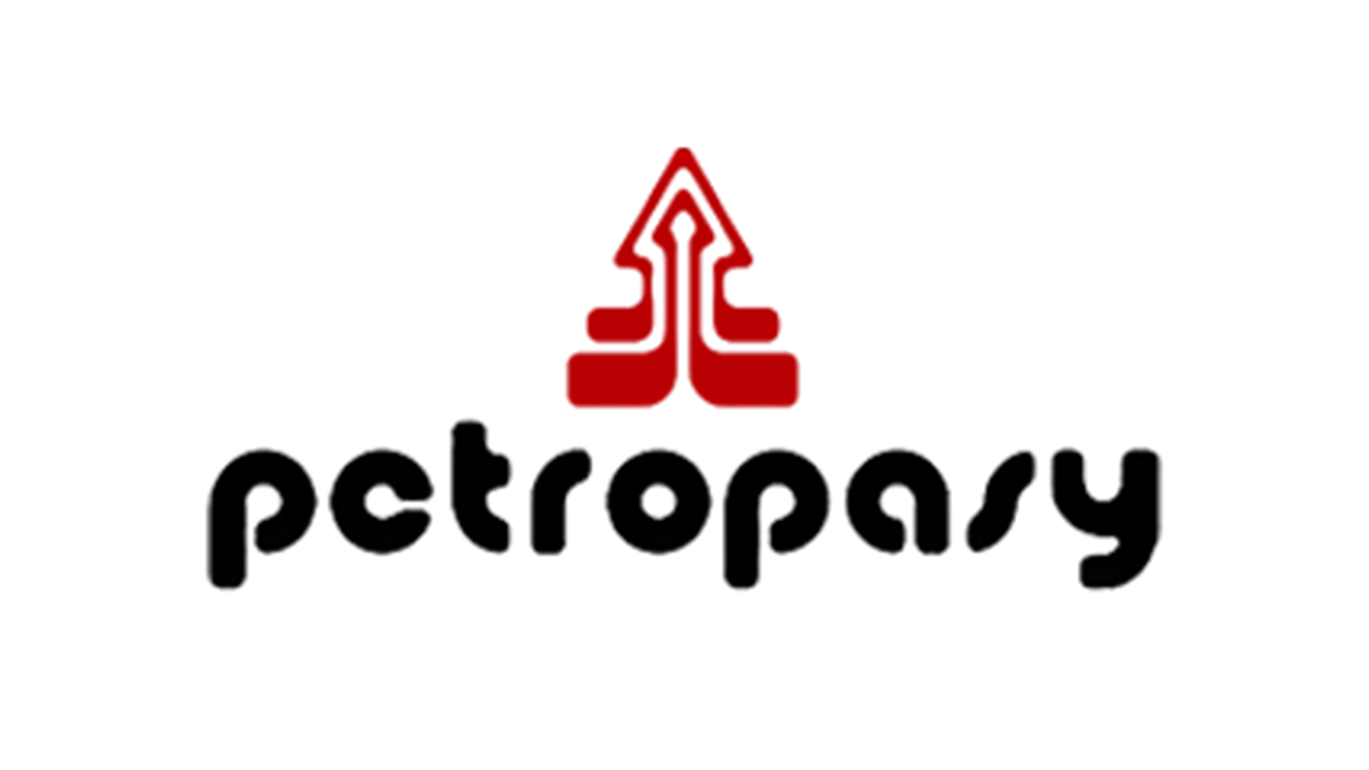 PETROPASY TECNOLOGIA EM POLIURETANOS LTDA