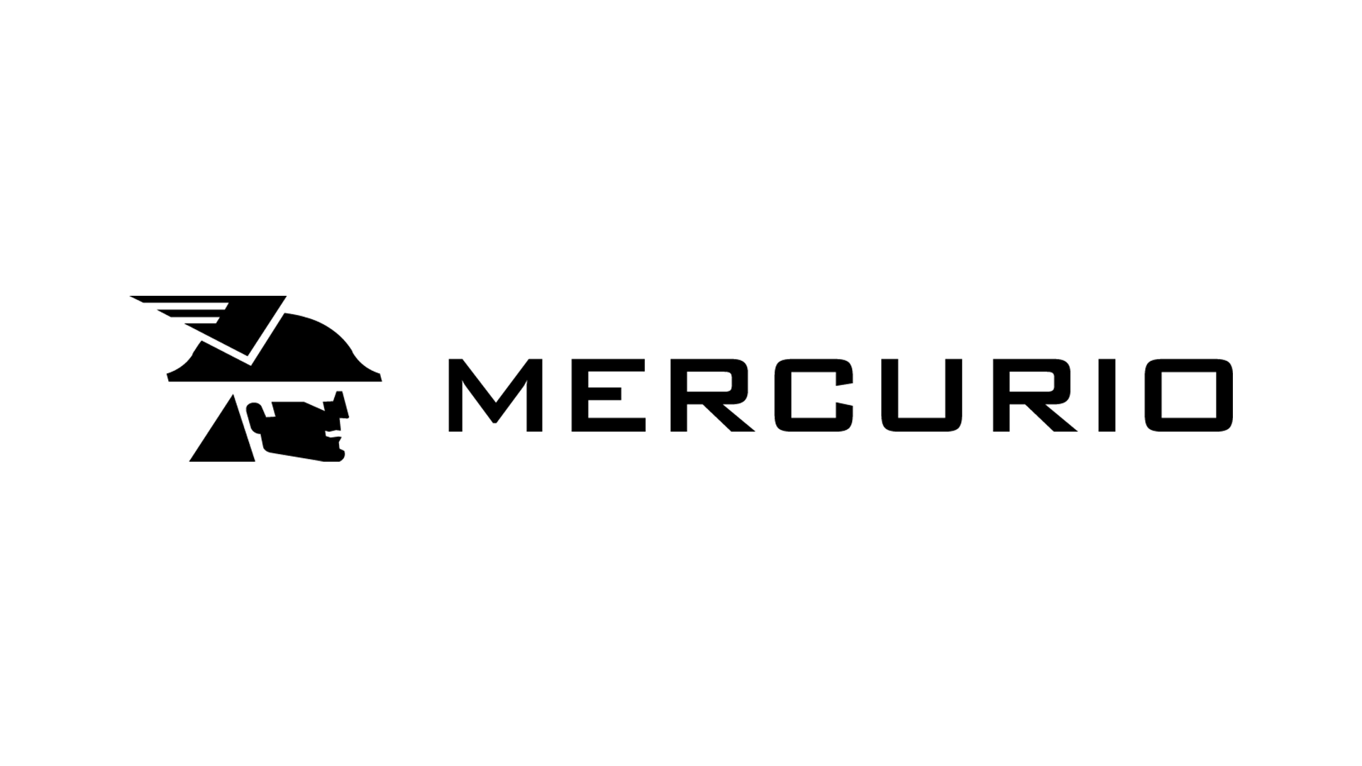 CORREIAS MERCURIO SA INDUSTRIA E COMERCIO
